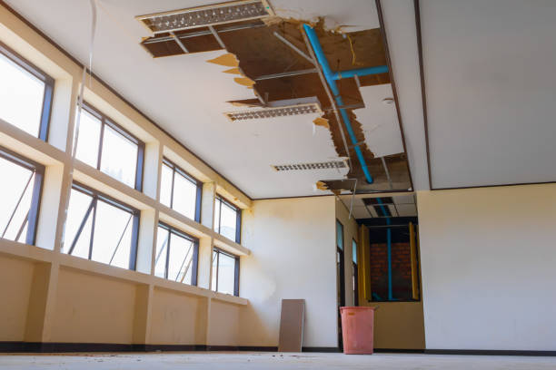 Best Local water damage restoration  in Enigma, GA