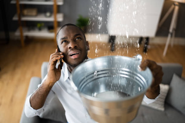Best Sewage cleanup and water damage restoration  in Enigma, GA