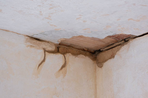 Best Professional water damage repair  in Enigma, GA