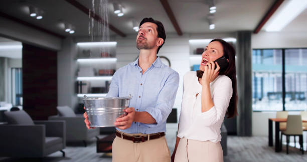 Best Water damage mitigation services  in Enigma, GA
