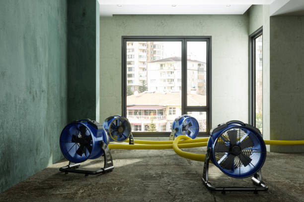 Best Carpet water damage restoration  in Enigma, GA