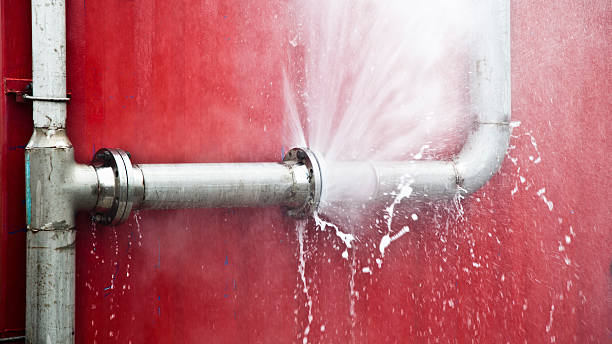 Best Water damage restoration experts  in Enigma, GA